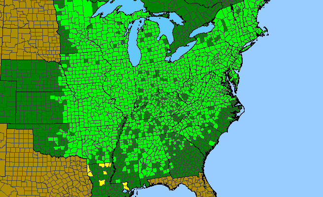 The range of Quercus rubra